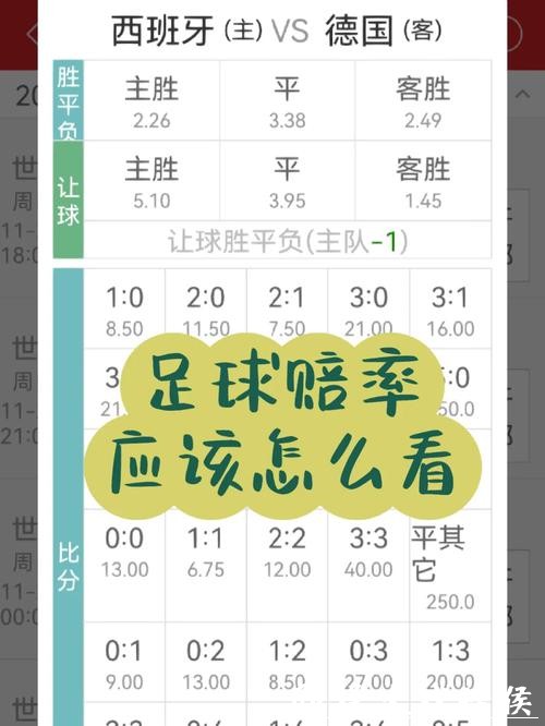 世界杯下注APP:实时赔率分析功能详解 世界杯下注APP:实时赔率分析功能详解